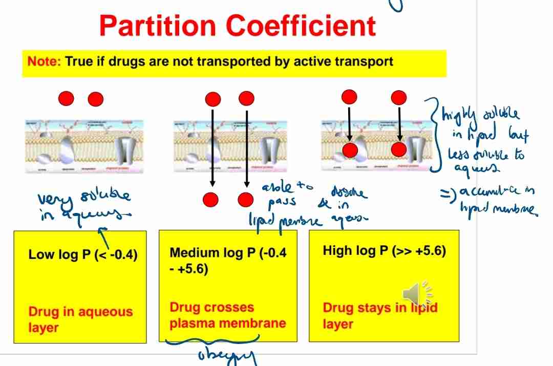 <p>A:They remain in the aqueous layer and have poor membrane permeability.</p>