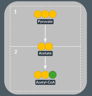 <p><span><span>In which step(s) is a coenzyme involved?</span></span></p>