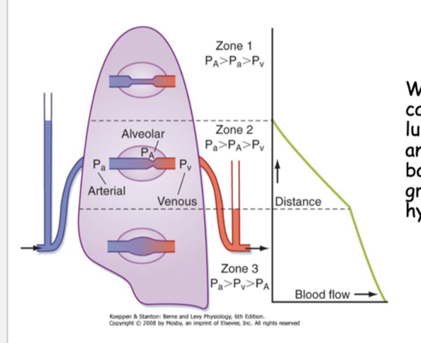 <p>gravitational effects on hydrostatic pressure</p>