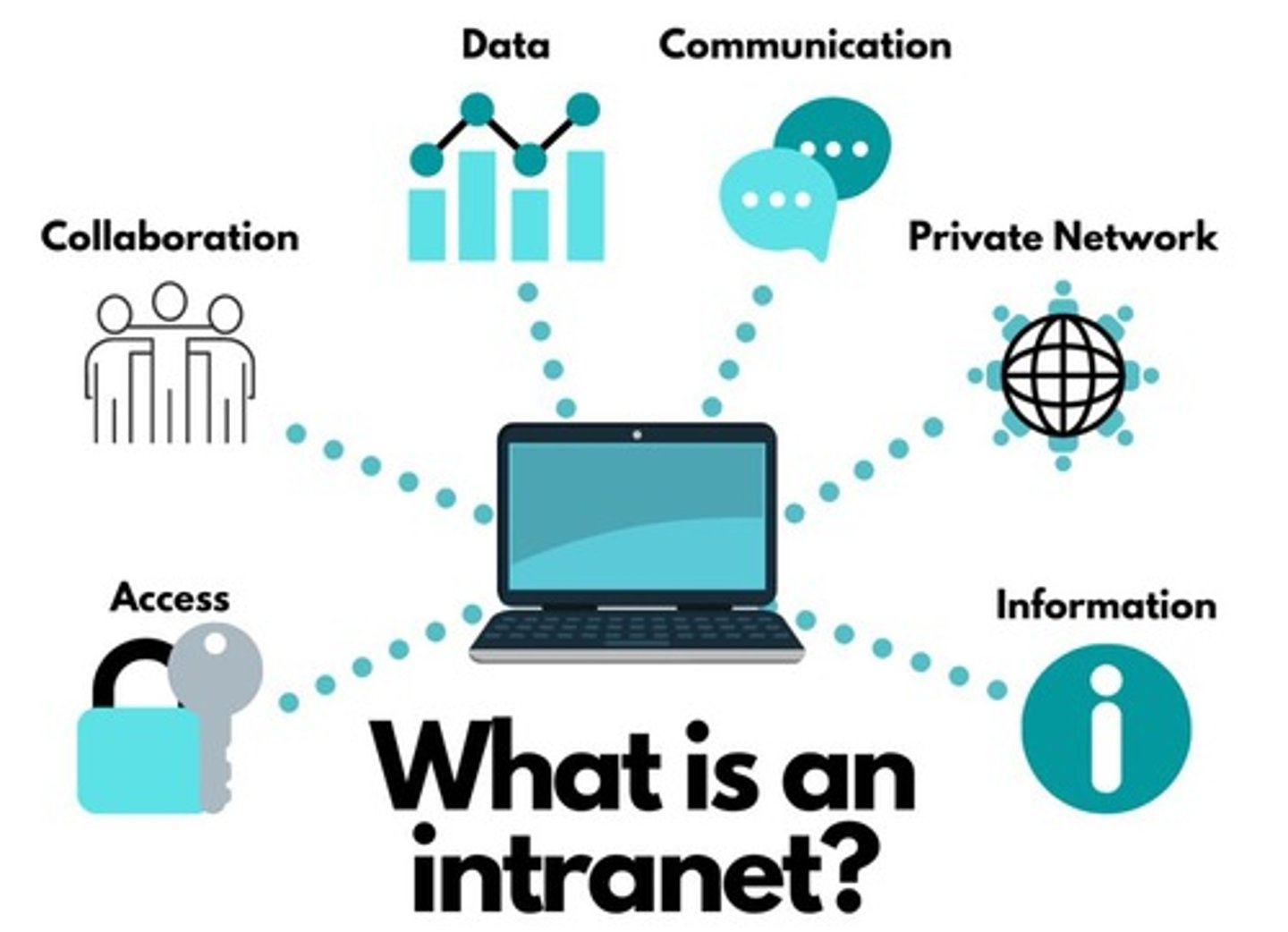 <p>A private network accessible only to an organization's staff using LAN and WAN.</p>