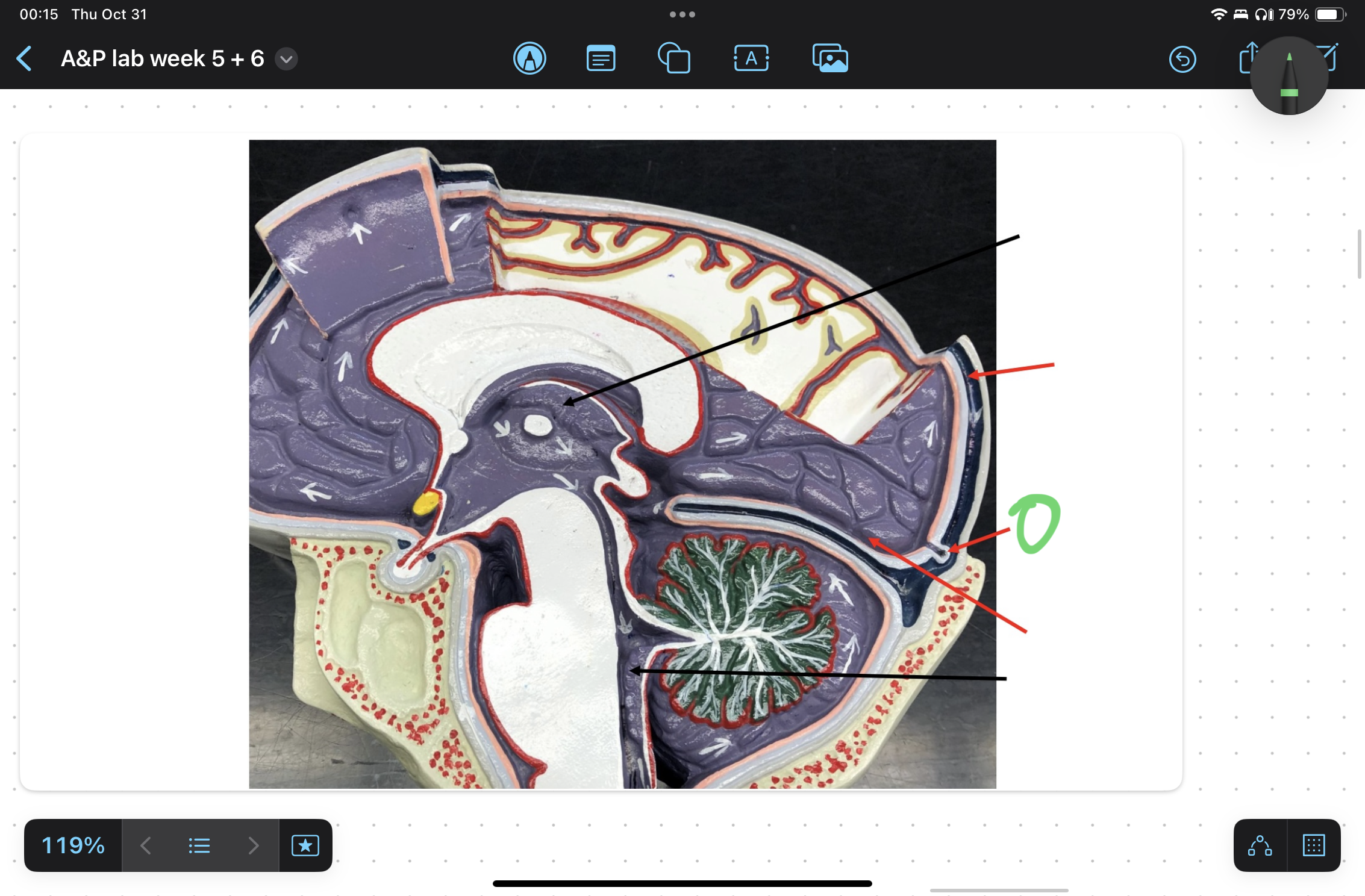 knowt flashcard image