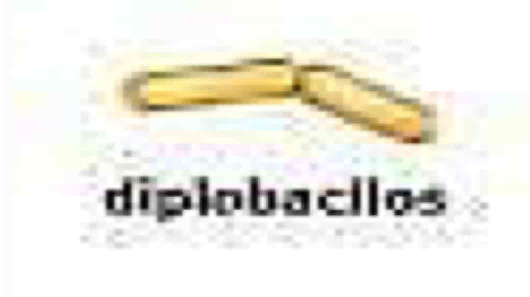 <p>Diplo bacilos</p>