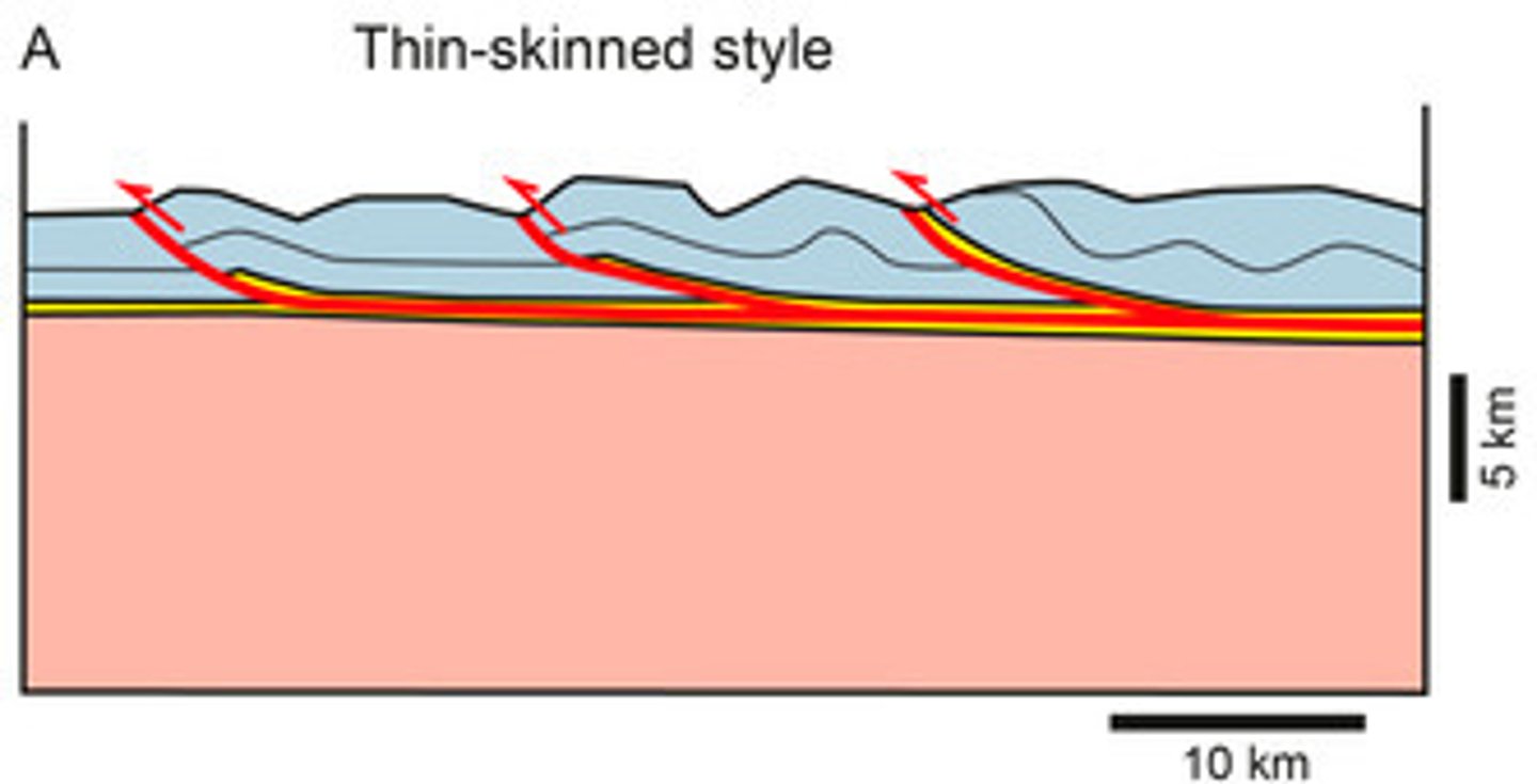 <p>refers to deformation without involvement of the basement (Sevier-type deformation)</p>