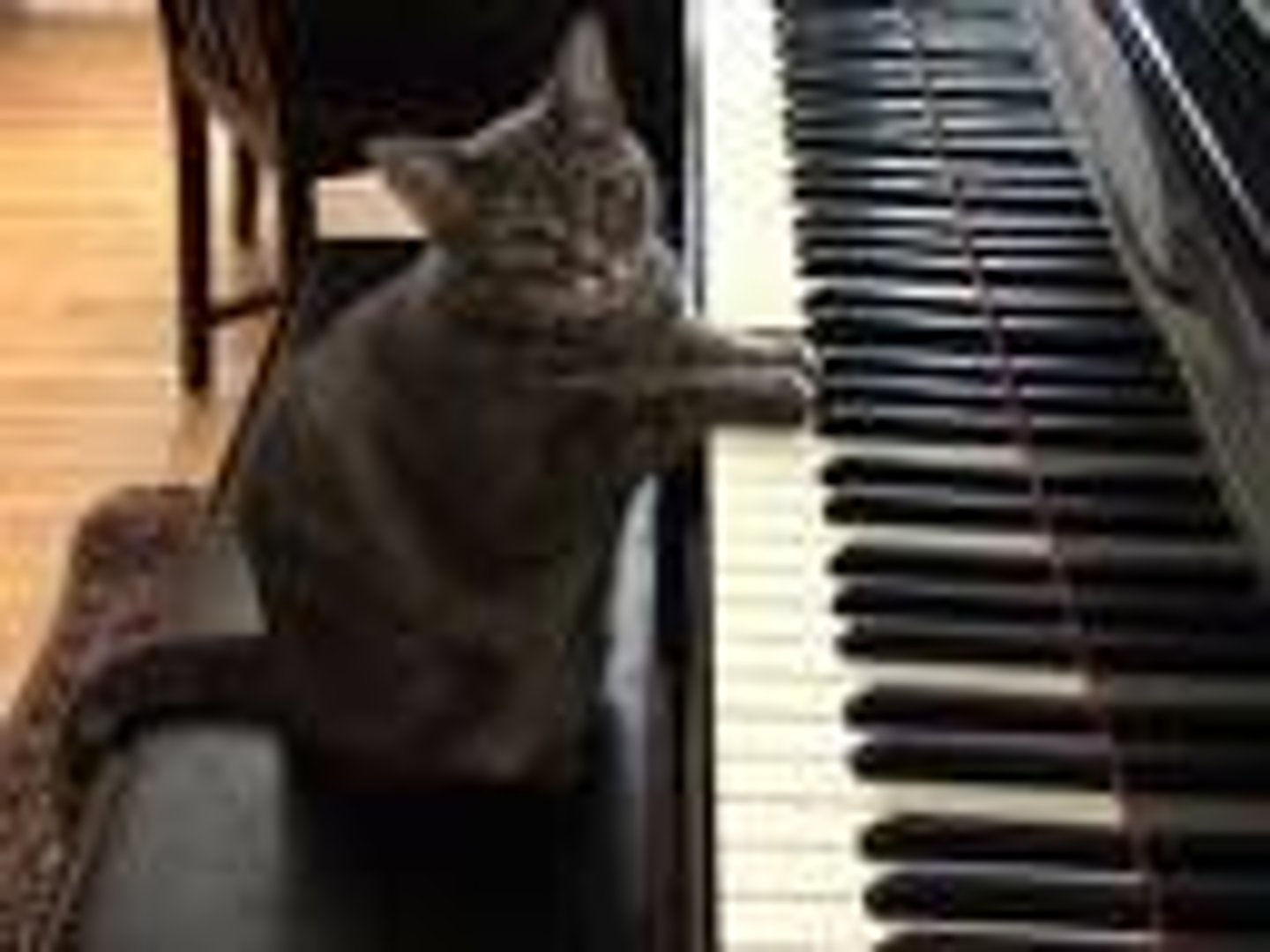 <p>to play the piano</p>