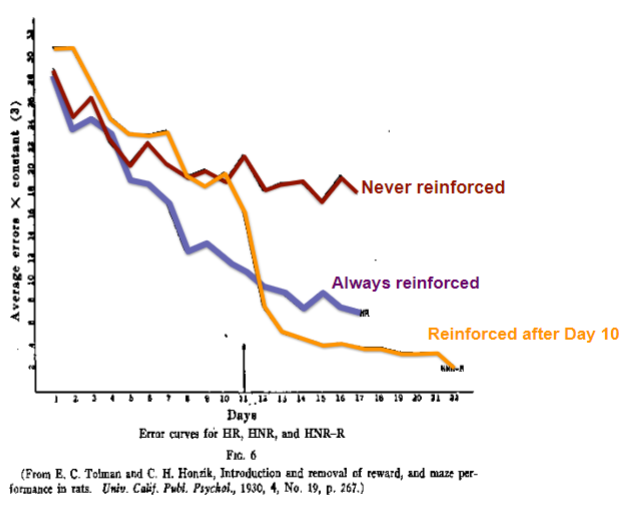 <ul><li><p>had rats try to complete a maze</p></li><li><p>some received food rewards (always reinforced), others didn’t (never reinforced) and some given were rewarded after day 10</p></li><li><p>the group that was always reinforced learnt faster and made fewer mistakes by day 17</p></li><li><p>however learning occurred at a faster rate in the group receiving a delayed reward (learning was ‘dormant’)</p></li></ul>