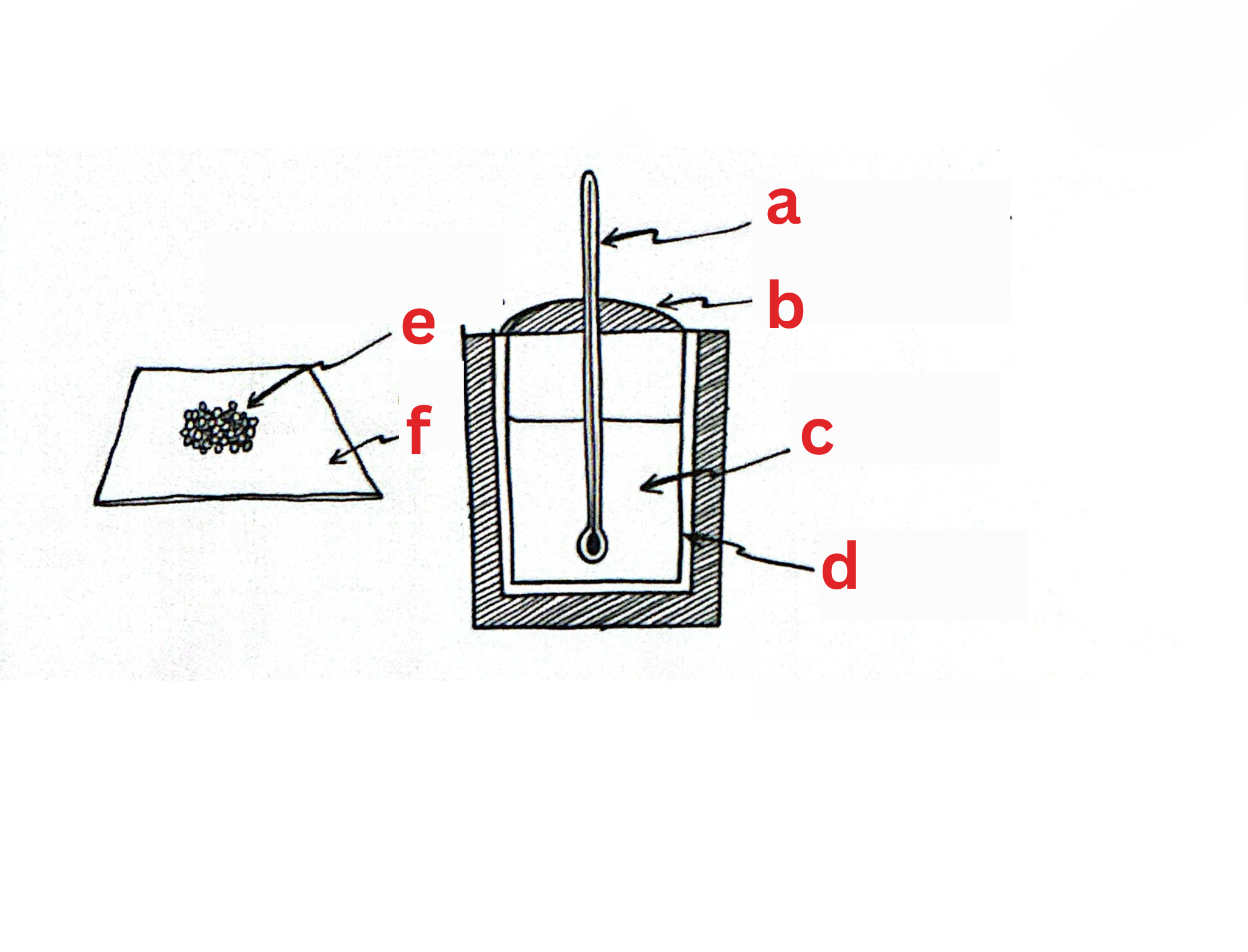 <p>Label This Diagram</p>