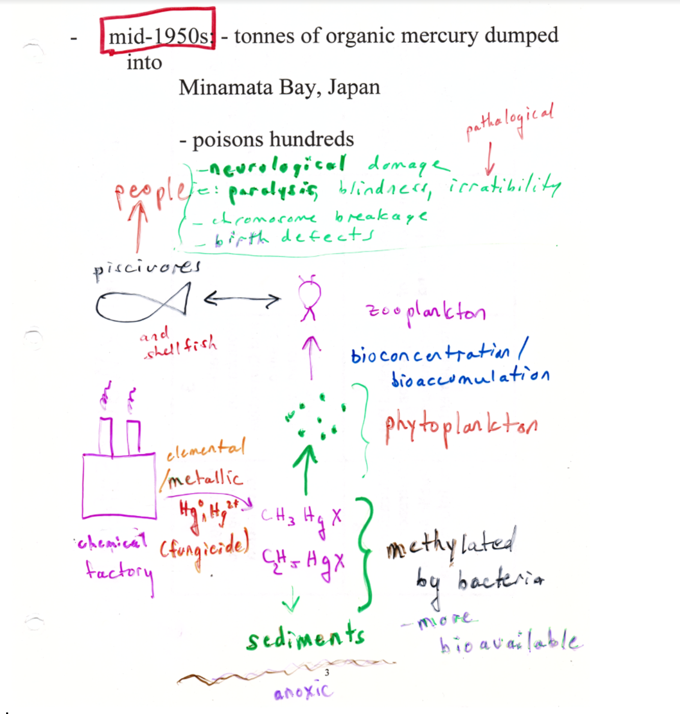**1950s**: Organic mercury in Minamata Bay, Japan poisons hundreds

\
Chisso factory wastewater contaminated with high mercury concentrations dumped into Minimata Bay → biomagnification of organic mercury in food chain → citizens consumed fish → become poisoned with “Minamata Disease”

\
**Result: Ataxia**: lack of coordination of muscle movements

* gross lack of co-ordination of muscle movements
* insanity, paralysis, death
* chromosome breakage
* birth defects
* can be congenital
* pathological irritation