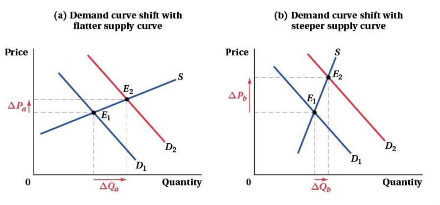 <ol><li><p>Size of the shift</p></li><li><p>Slope of the curves</p><ul><li><p>Demand shifts: Slope of supply curve determines the size of change.</p></li><li><p>Supply shifts: Slope of demand curve determines the size of change.</p></li></ul></li></ol><p></p>