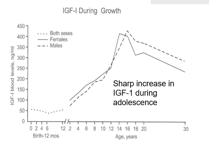 * sharp increase during adolescence
