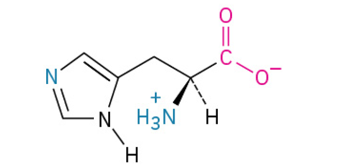 <p>is vital amino acid primarily known for being the building block for nitric oxide, which improves blood flow, and for helping the body detoxify ammonia. This why it’s often associated with cardiovascular health, exercise performance, and healing. (<strong><em><mark data-color="#e6fff6" style="background-color: rgb(230, 255, 246); color: inherit;">Nitric Oxide</mark></em></strong><em><mark data-color="#e6fff6" style="background-color: rgb(230, 255, 246); color: inherit;"> – the </mark></em><strong><em><mark data-color="#e6fff6" style="background-color: rgb(230, 255, 246); color: inherit;">"relaxation signal"</mark></em></strong><em><mark data-color="#e6fff6" style="background-color: rgb(230, 255, 246); color: inherit;"> that opens up blood vessels and improves circulation.)</mark></em></p><p>contains a guanidinium group, making it highly basic and often involved in protein binding.</p><p><u><mark data-color="#fff5db" style="background-color: rgb(255, 245, 219); color: inherit;">Charged</mark></u></p>
