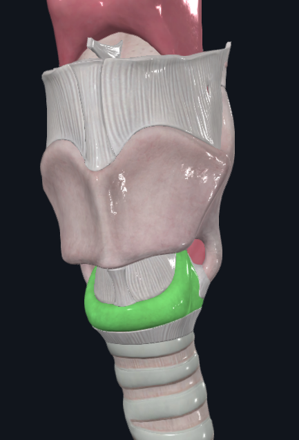 <p>What is highlighted in green</p>