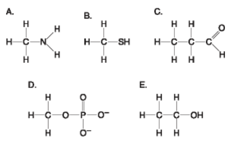 Using the functional group diagram at right answer A – E which of the following is incorrectly matched?: 

a. A = amino group 

b. B = thiol group 

c. C = carbonyl (aldehyde) 

d. D= organic phosphate 

e. E= carboxyl group