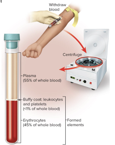 <p> measures the ratio of plasma to formed elements</p><ul><li><p>centrifuges blood to separate components</p></li></ul><ul><li><p>Erythrocytes are heaviest and settle first</p><ul><li><p>make up 37% to 52% total volume</p></li></ul></li><li><p>White blood cells and platelets make up the middle layer</p><ul><li><p>1% total volume</p></li><li><p>has a <strong>buffy coat</strong></p></li></ul></li><li><p>Plasma</p><ul><li><p>makes up remainder of volume</p><ul><li><p>47% to 63%</p></li></ul></li><li><p>Complex mixture of water, proteins, nutrients, electrolytes, nitrogenous wastes, hormones, and gases</p></li></ul></li></ul><p></p>