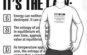 What law best relates to energy loss within an ecosystem?