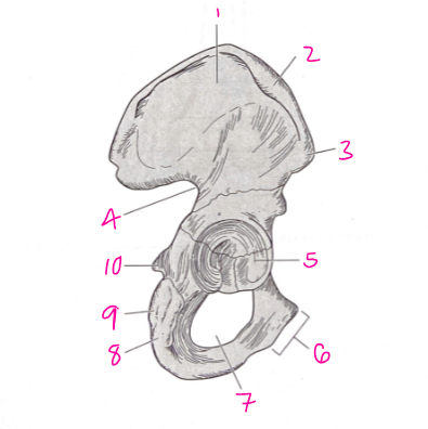<p>What is number 10? </p>