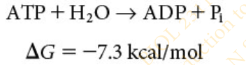 <p>results in the formation of adenosine diphosphate (ADP) and a molecule of inorganic phosphate (Pi )</p>