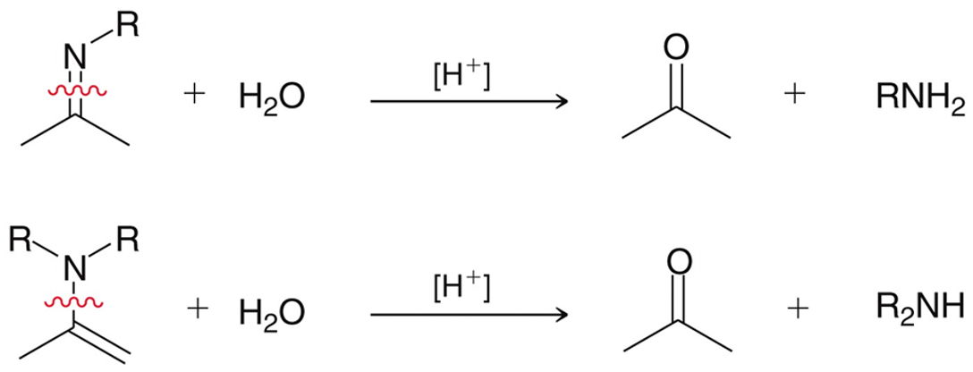 <p>Using water and strong acid, imines and enamines will oxidize back to a ketone and the respective electrophile. </p>
