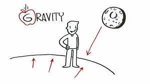 <p>Force of attraction between objects with mass.</p>