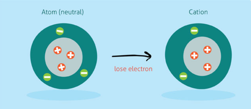<p>Atom that loses one or more electrons to become a positively charged ion</p>