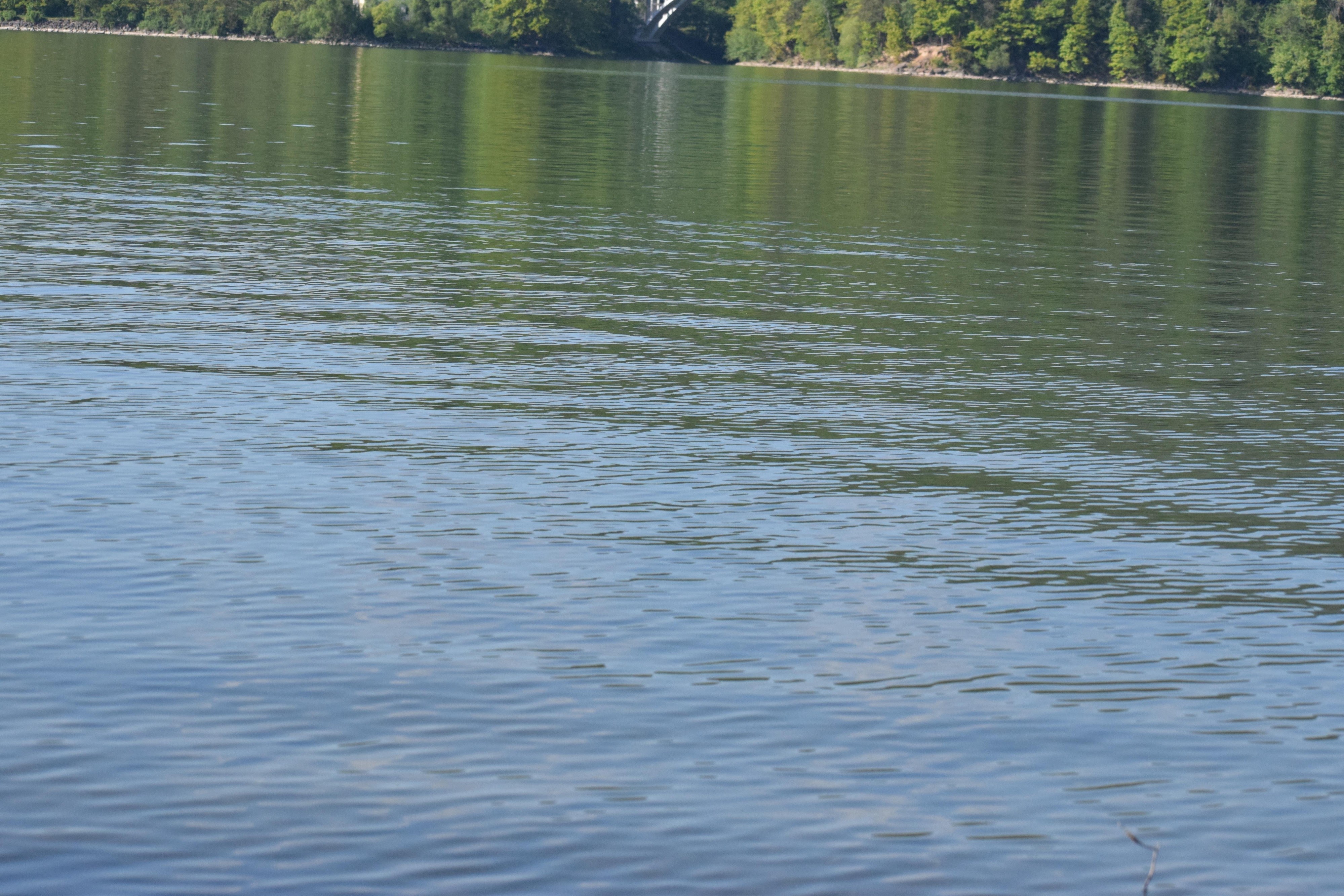 <p>Body of water</p>