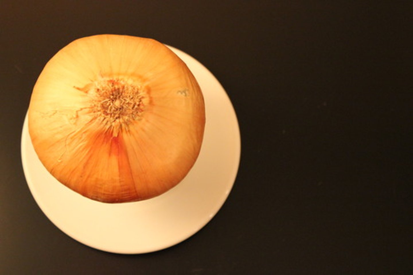 <p>ONION</p>