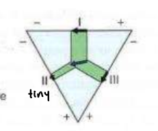 <p>This net dipole belongs to which of the following?</p><p>a. Q wave</p><p>b. S wave</p><p>c. ST segment</p><p>d. R wave</p>