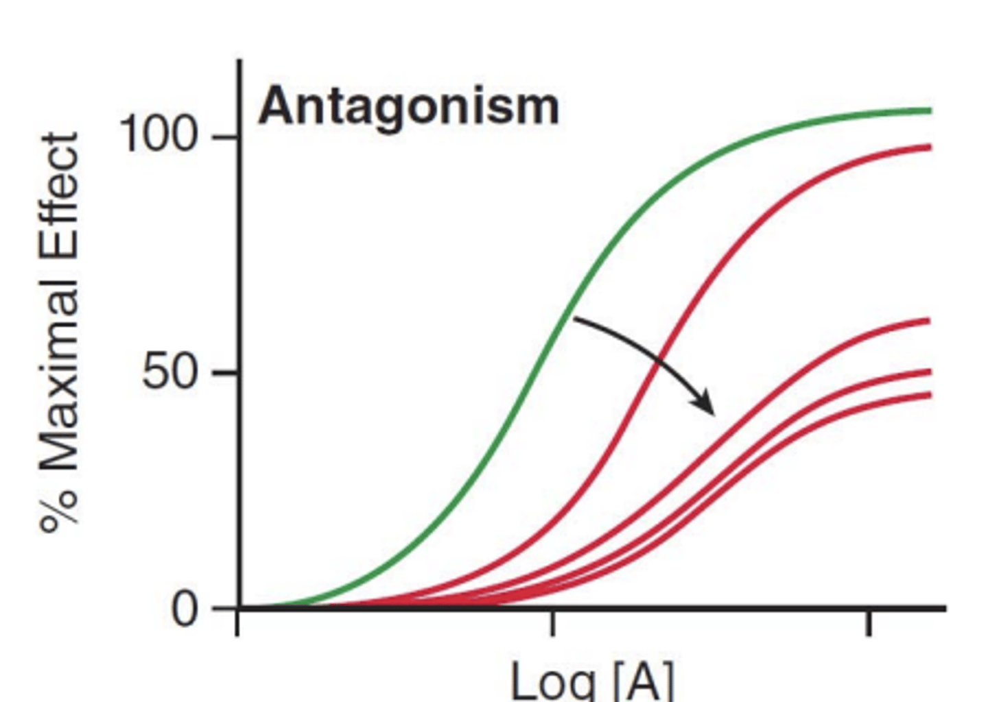 <p>decreased by the antagonist</p><p>(there is a decrease in the max. response, shifts right and downward)</p>