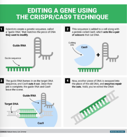 <p>is a system like a<strong> precise molecular scissors that cuts exactly where you want it</strong> to so you can<strong> change the gene you want. </strong></p><p>“ you can do it your way’ </p>