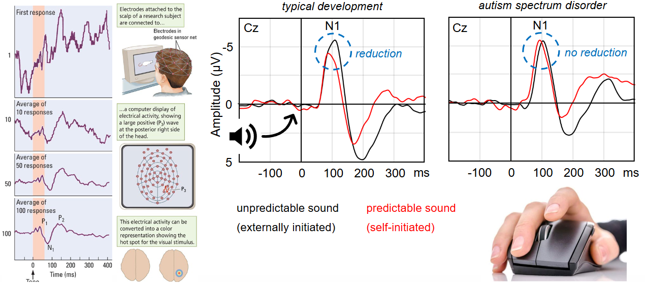 <p>Repeatedly show stimulus to patient and measure average brain activity (should be about 0) with EEG.</p>