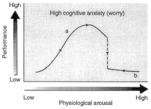 <p>positive effects on performance</p>