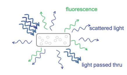<p>Fluorescent materials absorb light of one _________ and emit light at a lower energy _________. </p>