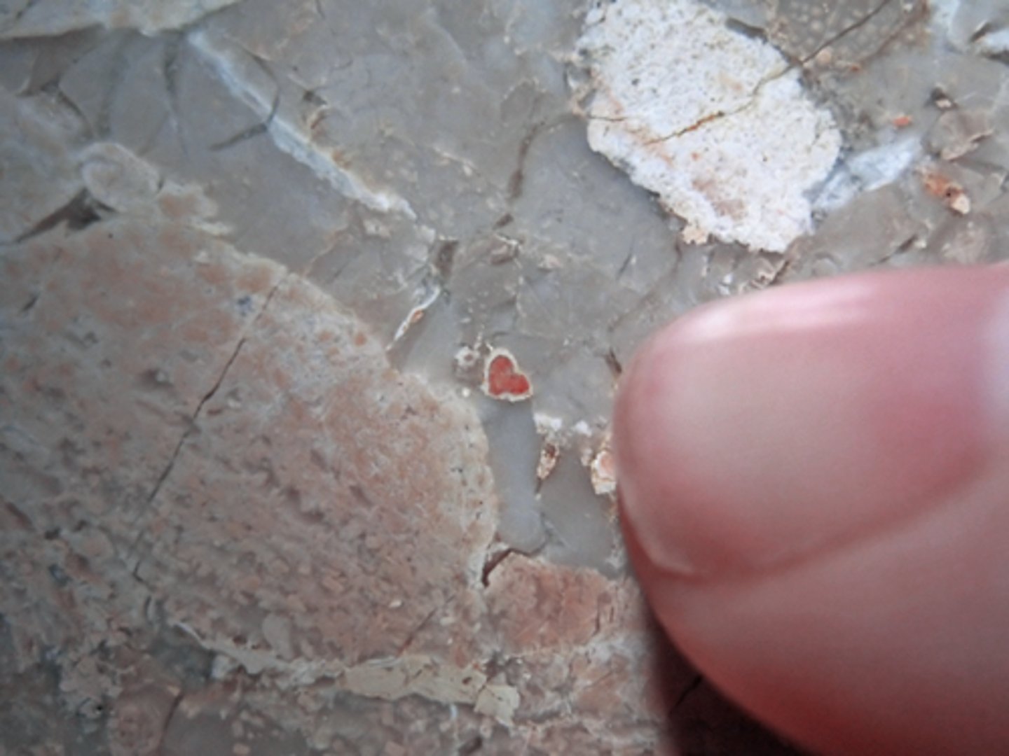 <p>a small particle or a tiny piece of a substance</p>