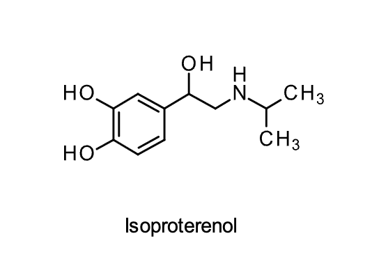 <p><strong>Isoproterenol</strong></p><p class="p1"><strong>Structural Evaluation:</strong></p>