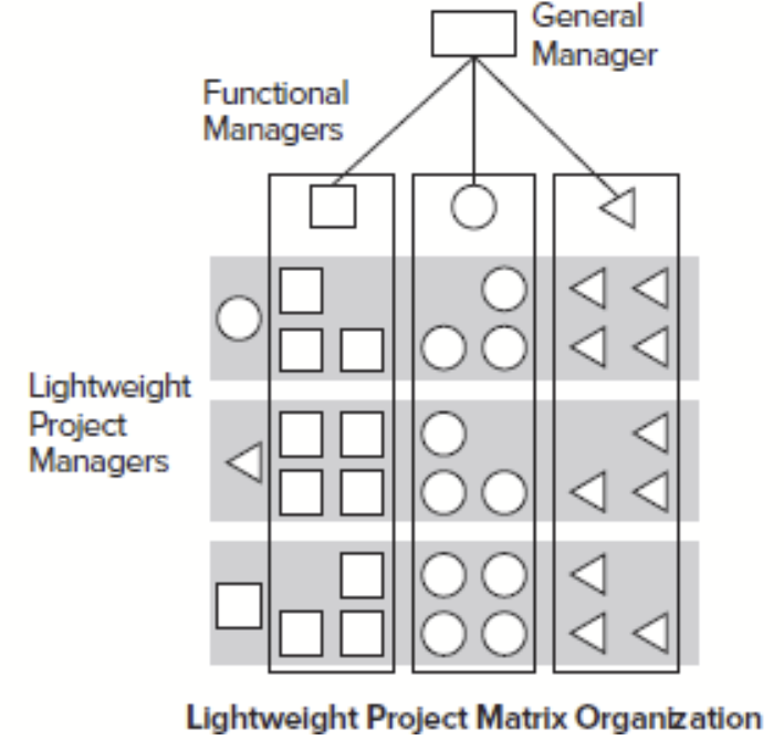 <p>Contains weaker project links and relatively stronger functional links.&nbsp; Project manager is more a coordinator and administrator, updates schedules, arranges meetings, and facilitates coordination, but has no real authority or control in the project organization.&nbsp; The managers are responsible for budgets, hiring, and firing, and performance evaluation.&nbsp;</p>