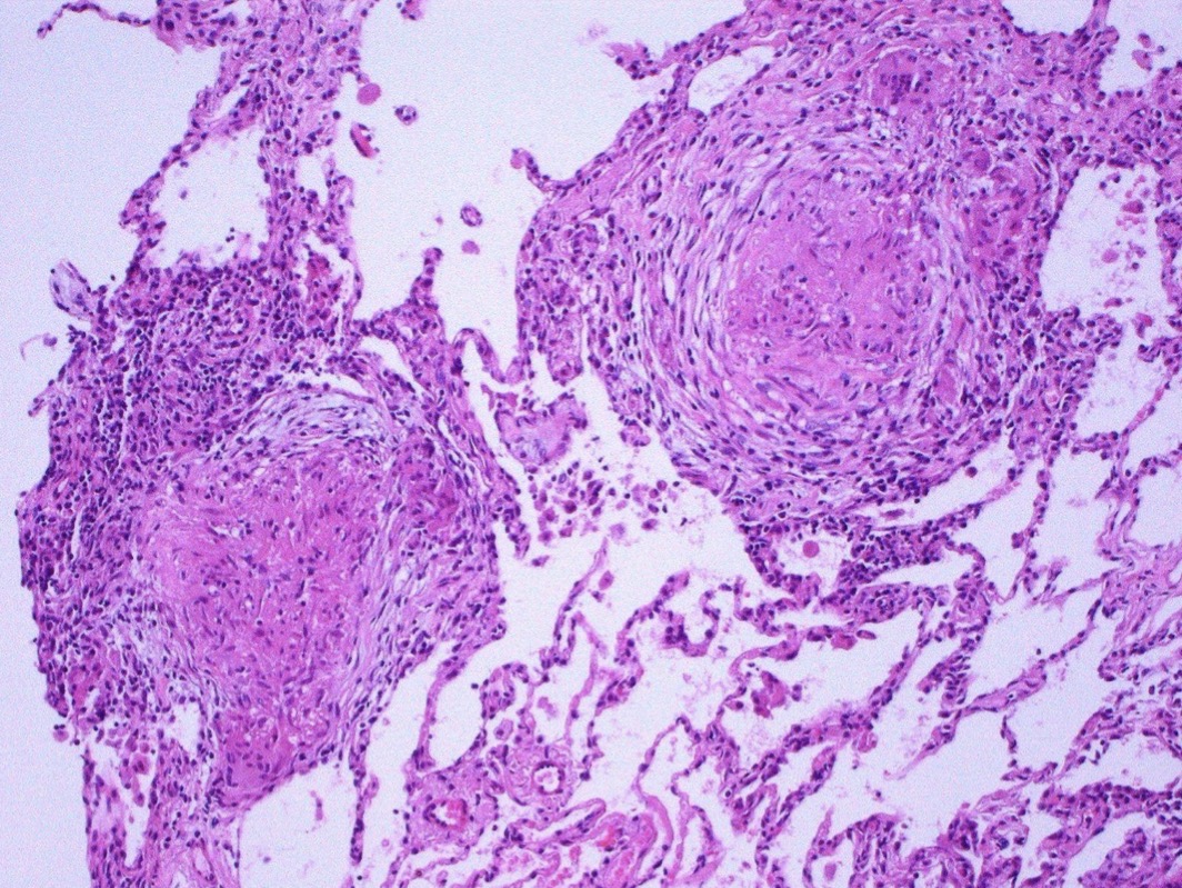 <p>A- identify</p><p>B- describe</p>