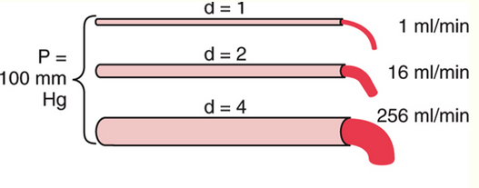 <p></p><p>This is a picture from a lecture.&nbsp;What would be the blood flow rate for d = 3? Put a number without units</p><p></p>