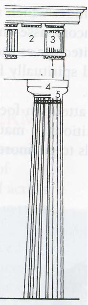 <p>The name of the Ancient Greek column shows below </p>