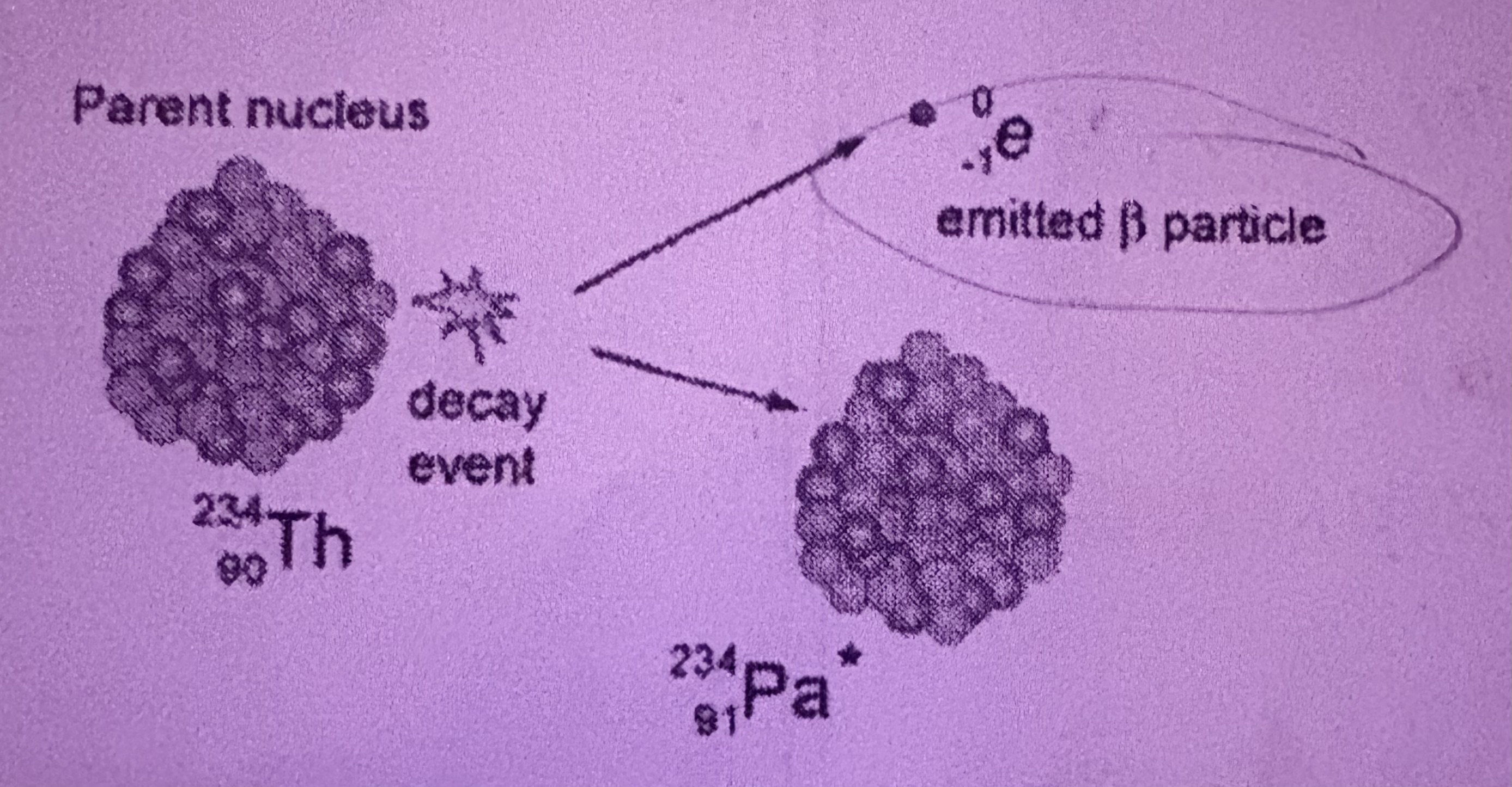 <p>What is Beta Decay?</p>