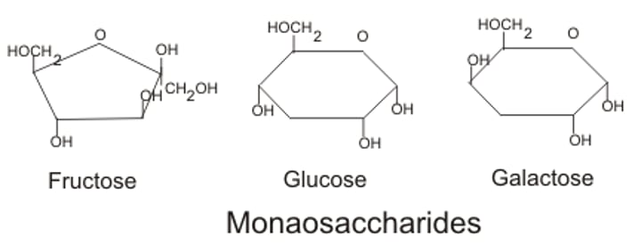 <p>-Simple sugars (mono = 1)<br>-<b>glucose</b>, <b>fructose</b>, <b>galactose</b> - all C₆H₁₂O₆<br><br>-Can have 3-7 C's i.e. trioses (3 C) or pentoses (5 C) - ribose, deoxyribose</p>