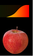 <p>The process by which objects reflect certain wavelengths of light while absorbing others.</p><ul><li><p><span style="color: green">example</span>: All frequency’s hit the apple, the apple absorbs most of the color frequency’s and then reflects the color red and doesn’t absorb it</p></li></ul><p></p>