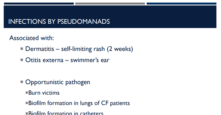 <p>Dermatitis, a self-limiting rash (2 weeks) and otitis externa (Swimmer’s ear), is associated with which infections?</p>