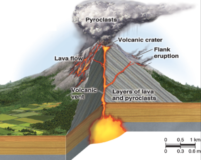 <p>AKA composite volcanoes; Cone shaped; Steep; Made of lava &amp; pyroclasts</p>