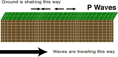 <p>“in” interior (Slinky), type of body wave </p><ul><li><p>primary, faster&nbsp;</p></li></ul><p></p>