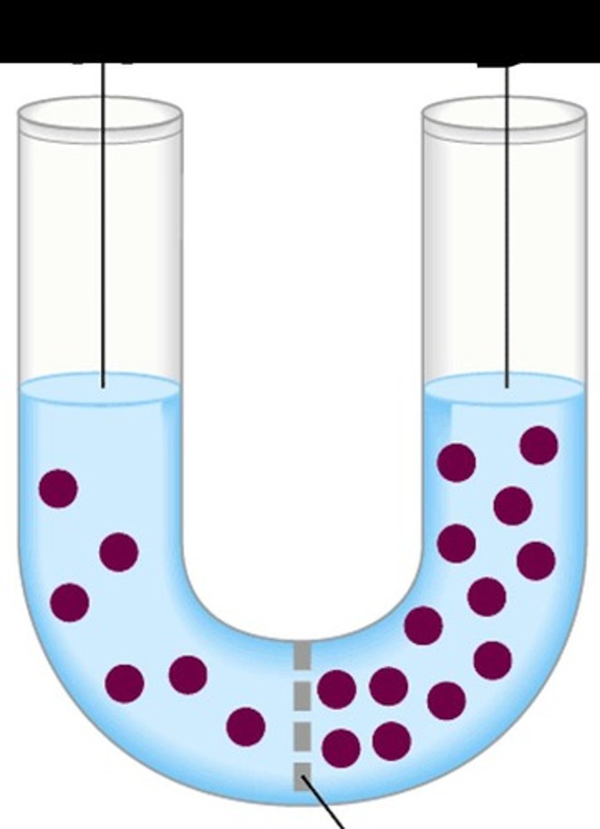 <p>They shrivel.</p>