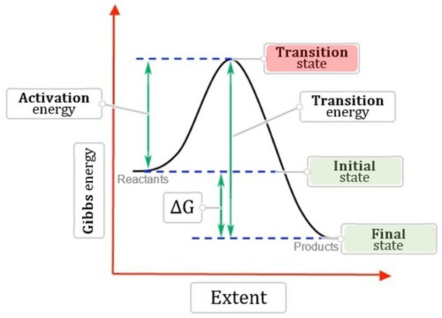 <p>(B) negative ΔG.</p><p>A reaction with a negative ΔG would be a great "committing" step for a pathway because that reaction is unlikely to be reversed. That reaction's products would then be committed to moving forward in the pathway. Phosphofructokinase's reaction has a very negative ΔG; thus, it is a great control point for glycolysis.</p>