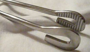 <p>Transfer Forceps</p>