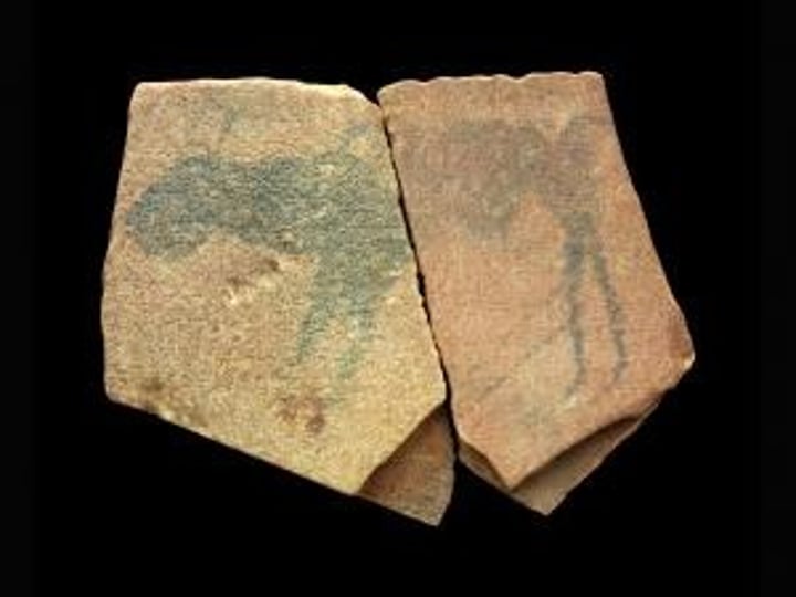 <p>Form:<br>-stones with charcoal drawings of animals<br>-geometric designs <br>- 4-5"<br>Function:<br>- depict animals<br>=some of world's oldest works of art<br>Content:<br>- animal figures with human legs added on probably later<br>Context: <br>- found in Apollo 11 caves in Namibia<br>-probably were made about 25500 BCE (oldest representational art in Africa) and buried in these caves<br>-named because it was discovered at the time of the Apollo 11 moon landing</p>