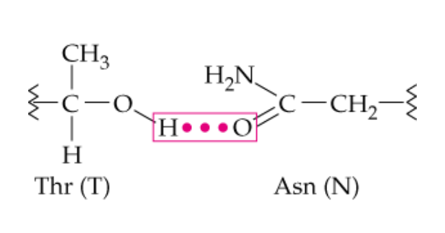 <p>name this noncovalent side chain interaction</p>
