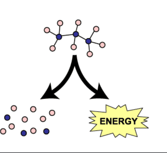<p>Series of reactions that release energy by breaking down complex molecules into simpler compounds.</p>