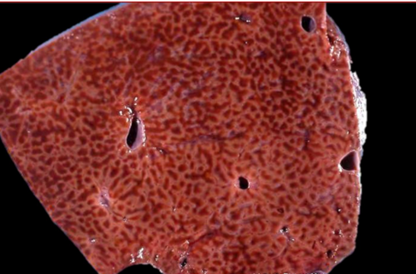 <p>what is this?</p>